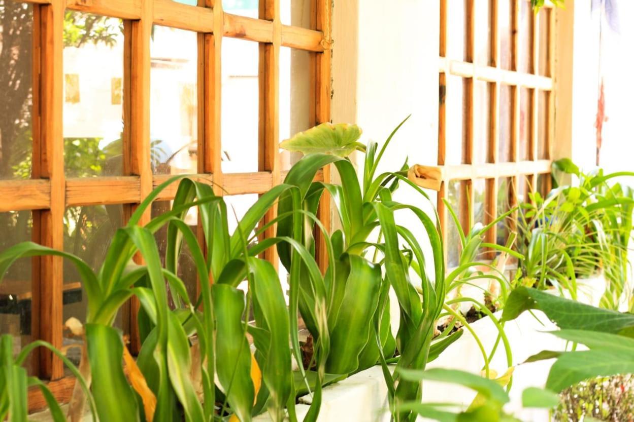 Fandango Hostel San Cristobal de las Casas Luaran gambar