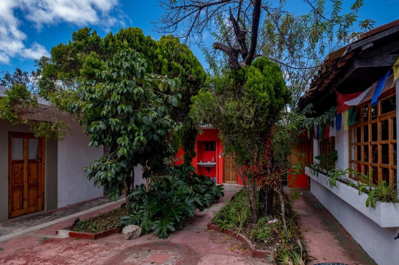 Fandango Hostel San Cristobal de las Casas Luaran gambar
